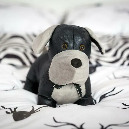 Animal House - Stayinwroclaw * Wroclaw