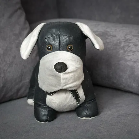 Animal House - Stayinwroclaw Daire Wroclaw