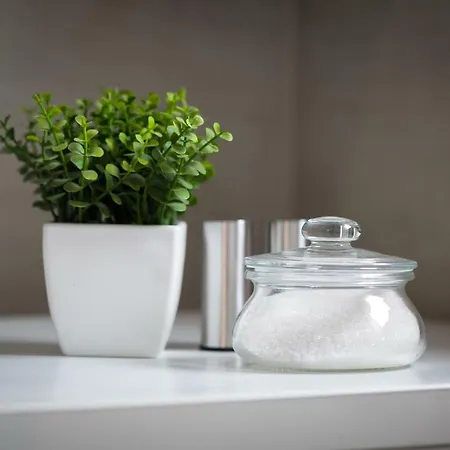 Animal House - Stayinwroclaw 公寓