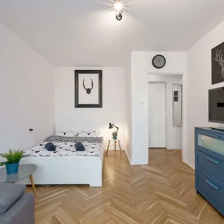 Animal House - Stayinwroclaw *