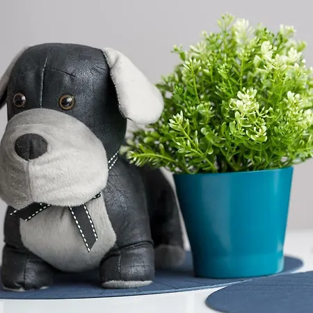 公寓 Animal House - Stayinwroclaw *