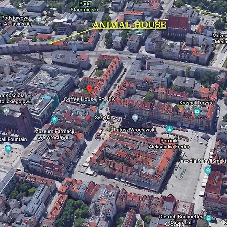 公寓 Animal House - Stayinwroclaw *
